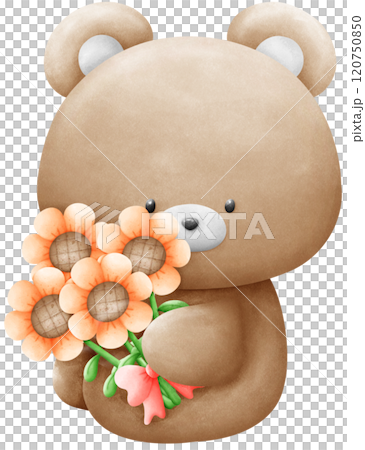 Brown bear holding a bouquet of sunflowers Brown bear holding a bouquet of sunflowers 120750850