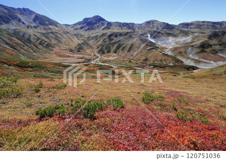 立山 地獄谷の絶景と紅葉 立山 地獄谷の絶景と紅葉 120751036