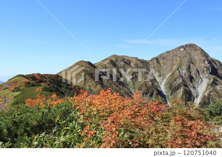 立山　雷鳥沢の絶景と紅葉 120751040