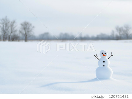 雪景色の中のスノーマン | 冬の風物詩 | 積雪の中のかわいい雪だるま 120751481