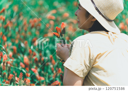 ストロベリーキャンドルのお花摘み 120751586