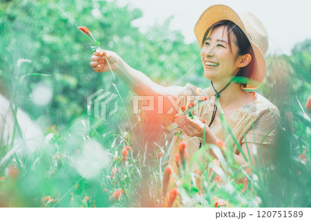 ストロベリーキャンドルのお花摘み ストロベリーキャンドルのお花摘み 120751589
