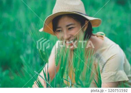 麦を摘む 麦を摘む 120751592