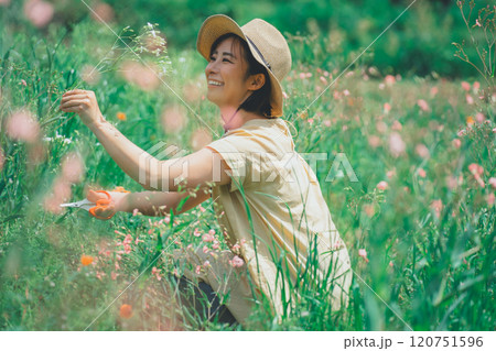花農園で、お花摘み 花農園で、お花摘み 120751596