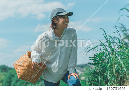山で収穫かごをさげている若い女性 山で収穫かごをさげている若い女性 120751603
