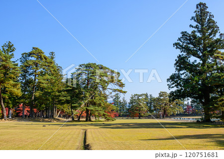 特別名勝 秋の毛越寺伽藍跡 岩手県 特別名勝 秋の毛越寺伽藍跡 岩手県 120751681