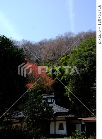 緑に包まれた観音寺 【相模原市津久井 4月】 緑に包まれた観音寺 【相模原市津久井 4月】 120751716