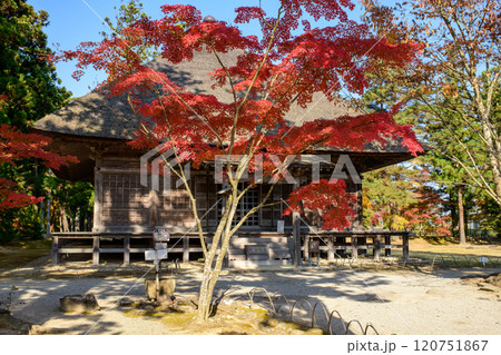 特別名勝毛越寺の秋 常行堂 岩手県 特別名勝毛越寺の秋 常行堂 岩手県 120751867