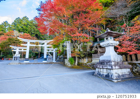 秋の三峯神社　三ツ鳥居　埼玉県秩父市 120751933