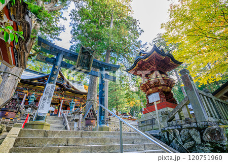 秋の三峯神社 埼玉県秩父市 秋の三峯神社 埼玉県秩父市 120751960