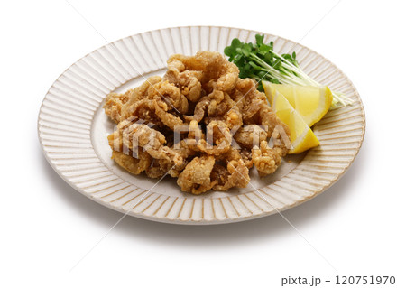 豚こまの唐揚げ 豚こまの唐揚げ 120751970