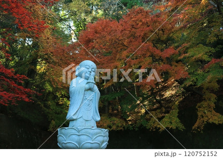 永願寺(もみじ寺) 永願寺(もみじ寺) 120752152