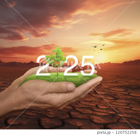 Happy new year 2025 ecological cover concept, Generative AI 120752258