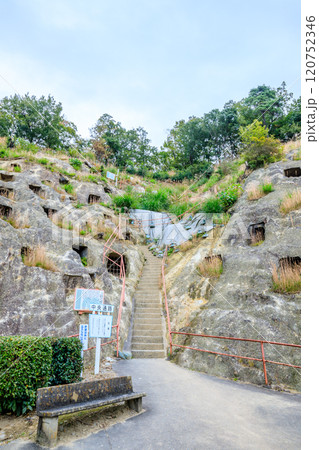 秋の吉見百穴　埼玉県吉見町 120752346