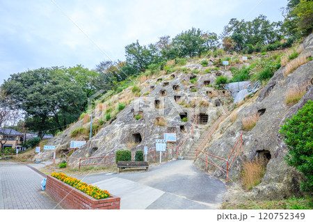 秋の吉見百穴 埼玉県吉見町 秋の吉見百穴 埼玉県吉見町 120752349