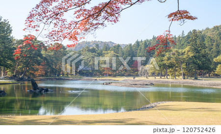 秋の毛越寺浄土庭園　大泉が池　岩手県 120752426