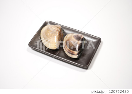 ハマグリ 120752480