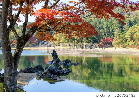 秋の毛越寺浄土庭園　大泉が池と池中立石　岩手県 120752483
