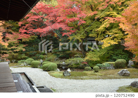錦秋の御寺泉涌寺　色鮮やかな御座所庭園(京都市東山区) 120752490