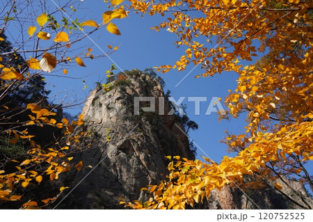 Autumn landscape with yellow autumn leaves and huge rocks in Seoraksan Mountain, Korea 120752525