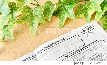 配偶者特別控除申請書のとツタ_俯瞰 配偶者特別控除申請書のとツタ_俯瞰 120752588