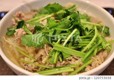 ベトナム料理 フォー・ボー ベトナム料理 フォー・ボー 120753038