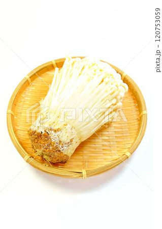 エノキタケ　榎茸　エノキダケ　ナメタケ　ナメススキ　ユキノシタ　キノコ　きのこ　　 120753059