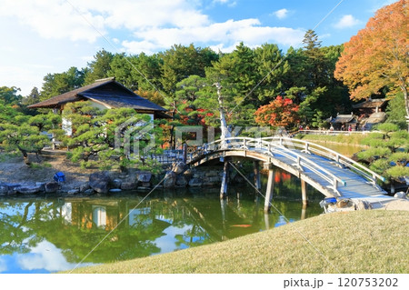 【岡山県】秋晴れの岡山後楽園（秋の幻想庭園） 120753202