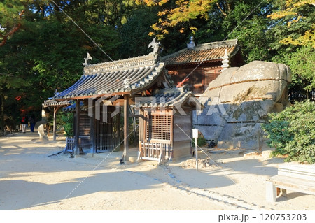 【岡山県】秋晴れの岡山後楽園（秋の幻想庭園） 120753203