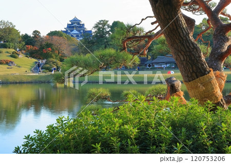 【岡山県】秋晴れの岡山後楽園（秋の幻想庭園） 120753206
