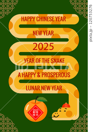 Chinese New Year 2025 Lunar year greeting design Chinese New Year 2025 Lunar year greeting design 120753276