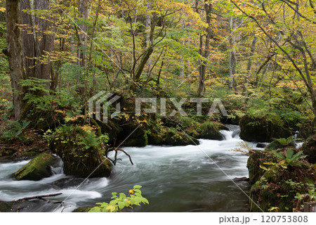 秋の奥入瀬渓流～平成の流れ 120753808