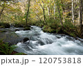 秋の奥入瀬渓流～白銀の流れ 120753818