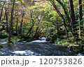 秋の奥入瀬渓流～白糸の滝近く 120753826