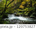 秋の奥入瀬渓流～姉妹の滝近く 120753827