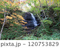 秋の奥入瀬渓流～九段の滝 120753829