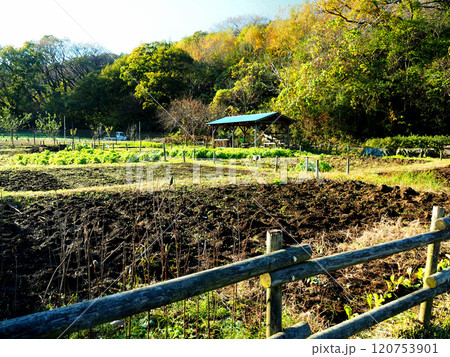 神奈川県横浜市・舞岡公園の農地 120753901
