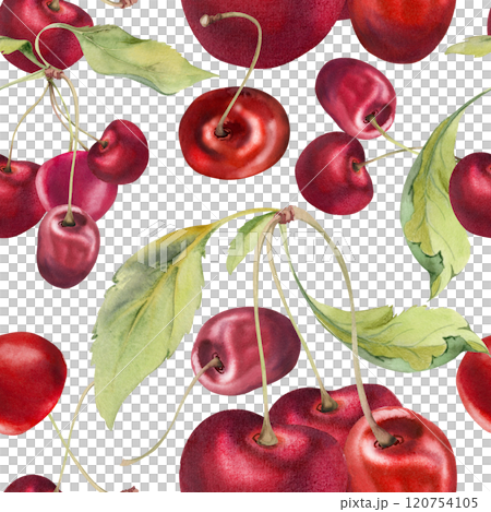 Sweet sour red cerise cherry with green leaves, hand drawn in watercolor, garden berry in clusters on branches. Seamless pattern wallpaper illustration. Restaurant, cafe menu, wedding, farmers market. 120754105