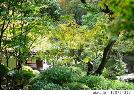 静寂の中の庭園 静寂の中の庭園 120754313