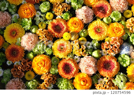 花手水 花手水 120754596