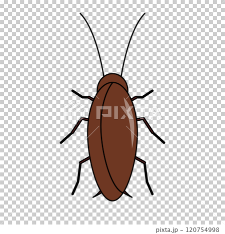 Cockroach icon 120754998