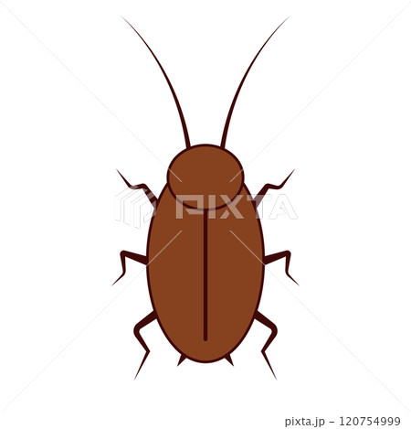 ゴキブリ 120754999