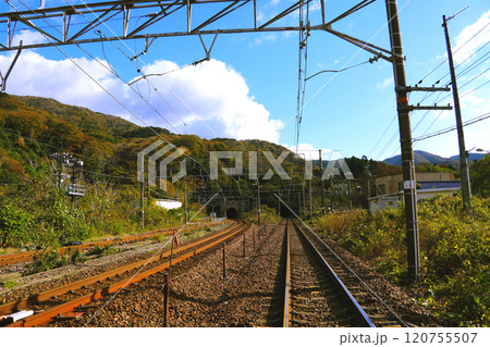紅葉の新疋田駅の線路 120755507