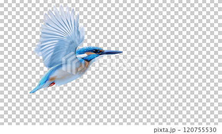A vibrant kingfisher glides gracefully above the shimmering surface of a river at dusk, its wings catching the light, showcasing stunning shades of blue and orange. 120755530