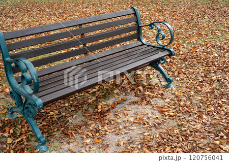 地面に敷き詰められた落ち葉とベンチ 120756041