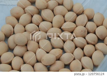 ギンナン　イチョウの実　 120756124