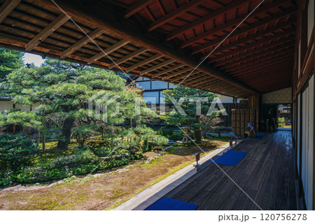 金沢 成巽閣 つくしの縁庭園 120756278