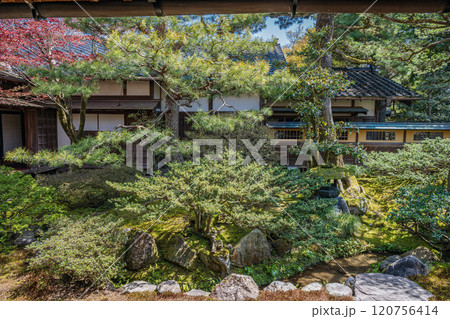 金沢 成巽閣 万年青の縁庭園 120756414