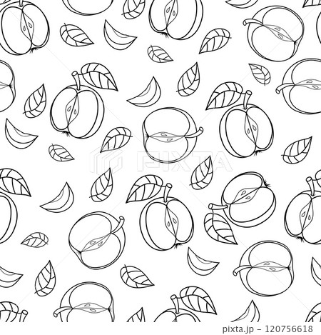 Seamless pattern with fruit Apple on white background. Line outline hand drawing. Vector illustration 120756618