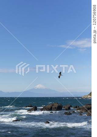 荒海の富士山 120756908